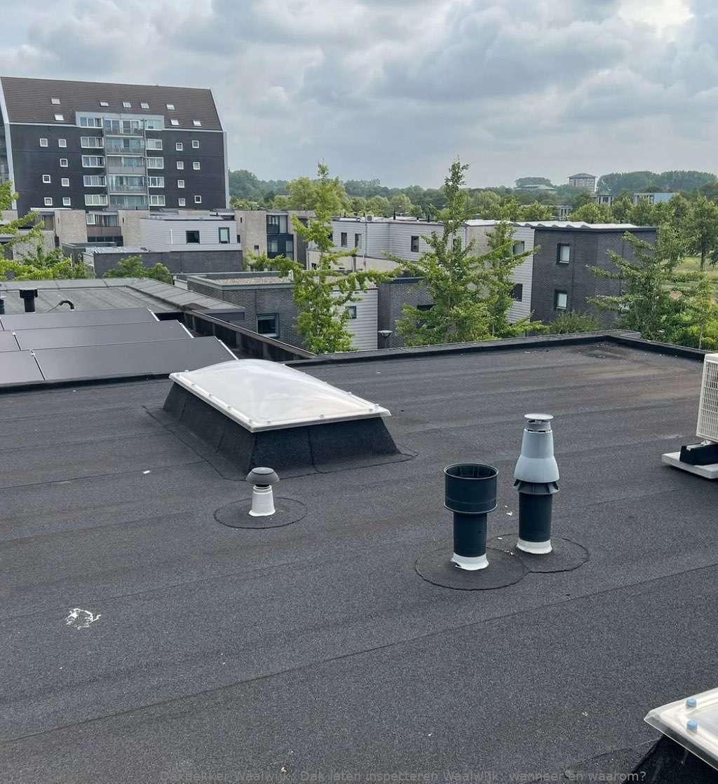 Dak Laten Inspecteren Waalwijk