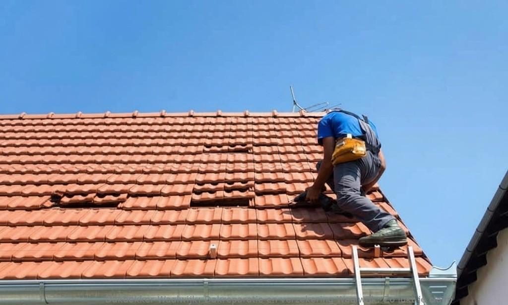 Dakreparatie En Verzekering Waalwijk