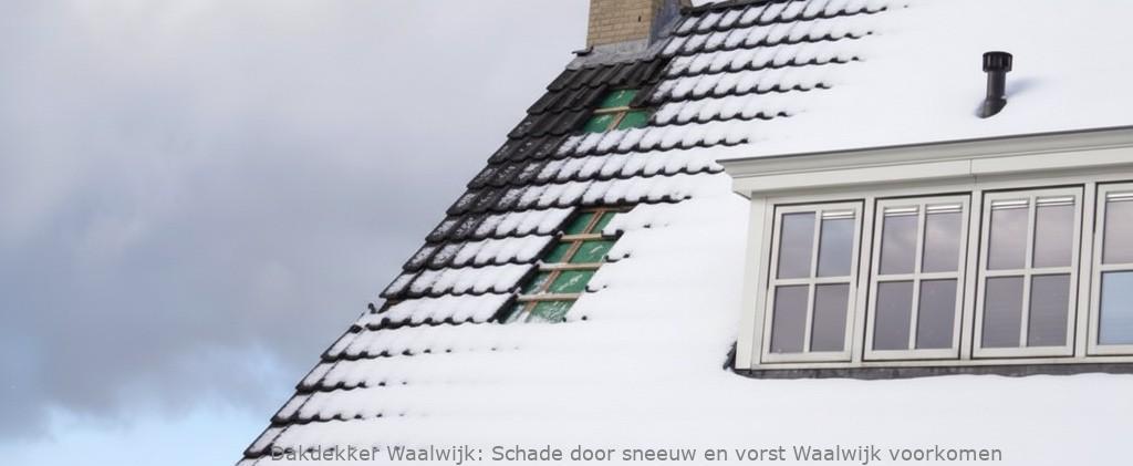 Schade Door Sneeuw En Vorst Waalwijk