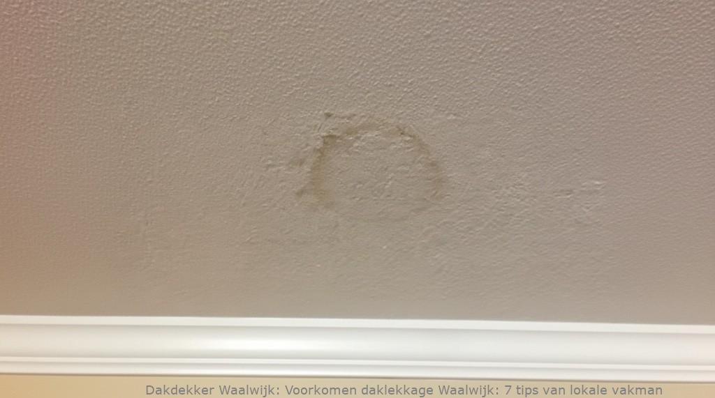 Voorkomen Daklekkage Waalwijk