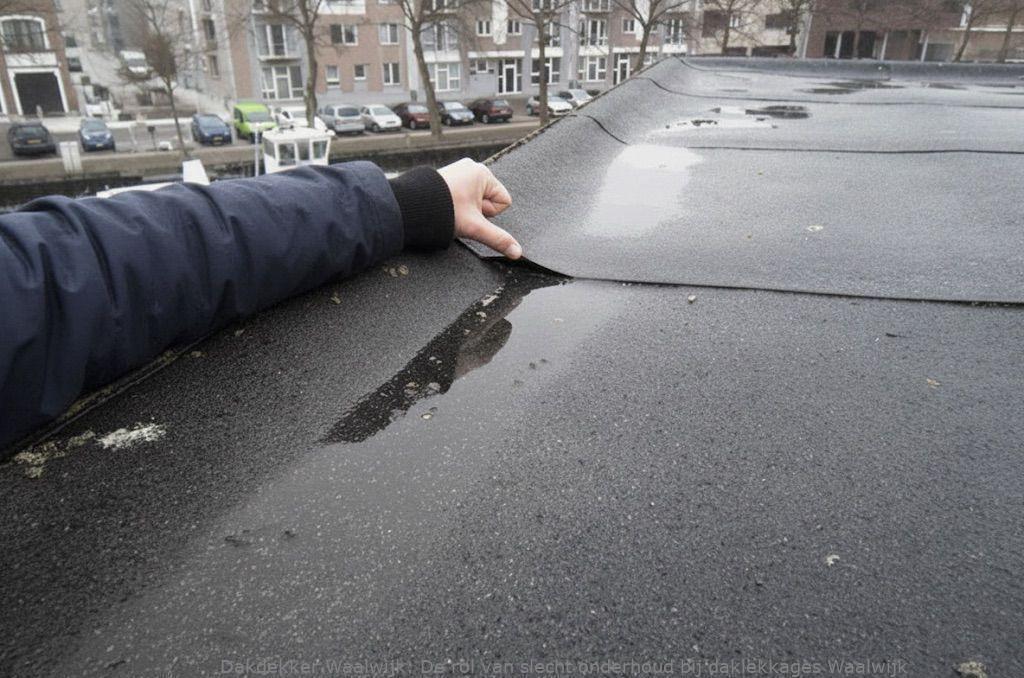 Voorkomen Daklekkages Waalwijk