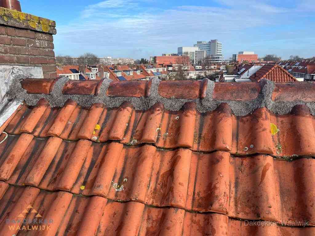 Waalwijk Daken Renoveren